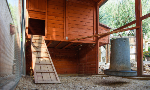 A close-up of an empty chicken coop.