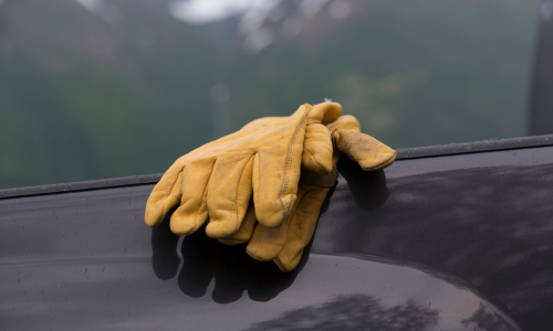 Work gloves set on the back of a tailgate.