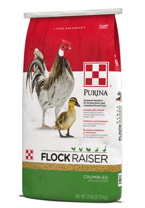 Purina® Flock Raiser® Crumbles