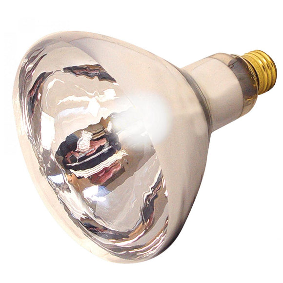 Satco S4755 - 250 Watt R40 Incandescent Bulb Clear Heat Medium Base