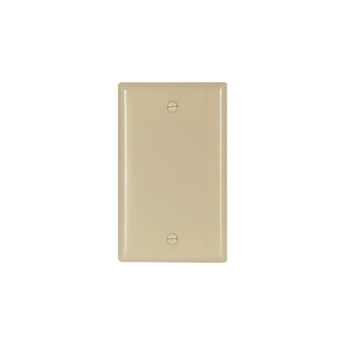 Eaton Cooper Wiring Blank Wallplate 2129V-BOX