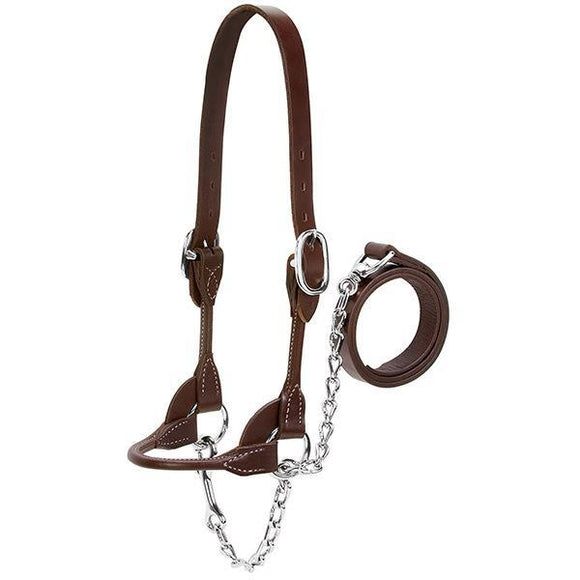 Dairy/Beef Rounded Show Halter, Brown, Small