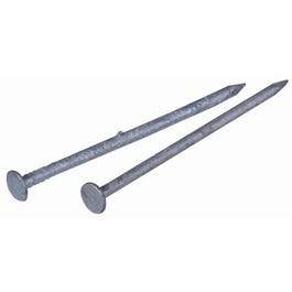 Galvanized Common Nail, 2-In., 6-D, 1-Lb.