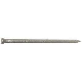 Hot-Dipped Galvanized Nails, 8D, 2.5-In., 1-Lb.