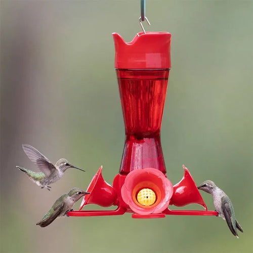 Perky pet bee guards for best sale hummingbird feeders