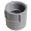 Conduit Fitting, PVC Female Adapter, 1-In.