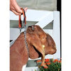 Weaver Leather Leather & Chain Goat Collar