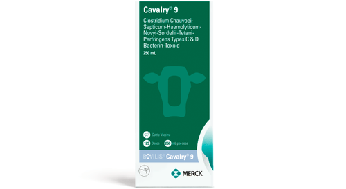 Merck Bovilis® Cavalry® 9 100 mL