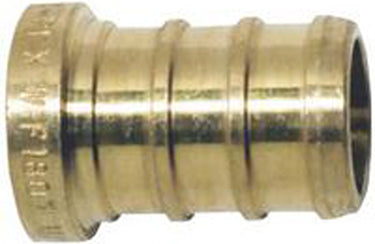 BRASS PLUG 1/2 IN 10PK