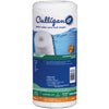 CW25-BBS Culligan Heavy Duty Whole House Water Filter Cartridge